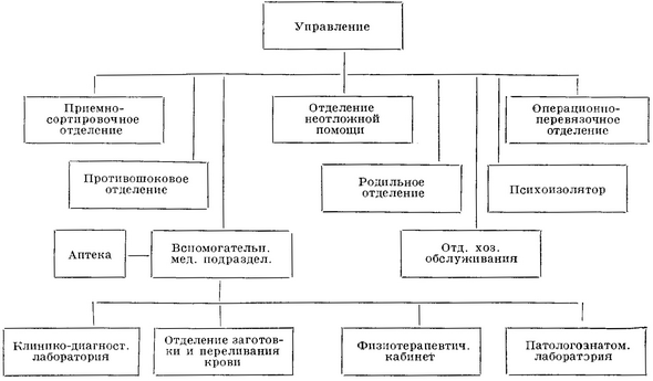 организационная структура головной больницы