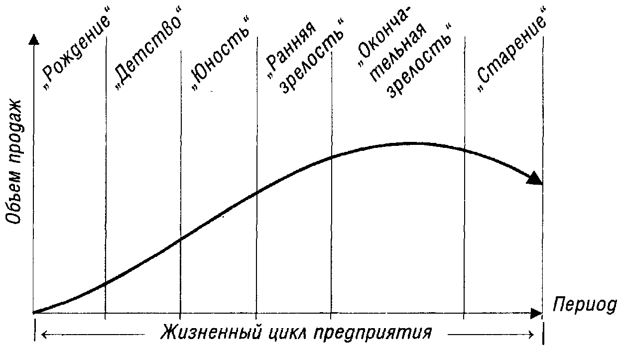 Рисунок жизненный цикл организации