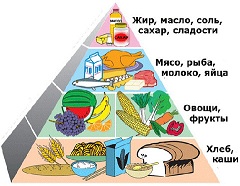 Диета важное дополнение лечения гастрита