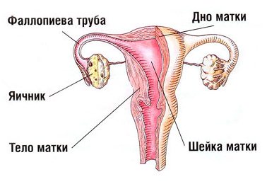 Диагностика сальпингита